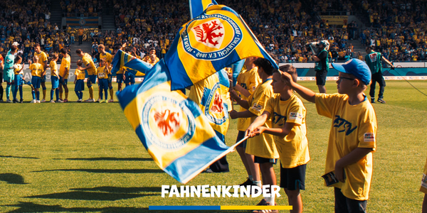 Cover Bewerbung als Fahnenkind